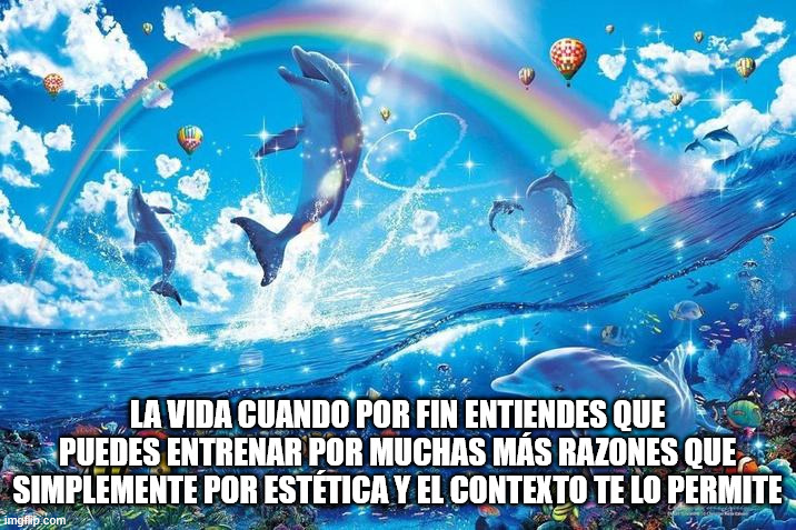 Imagen colorida de delfines saltando del agua felices donde se lee "La vida cuando por fin entiendes que puedes entrenar por muchas más razones que simplemente por estética y el contexto te lo permite".